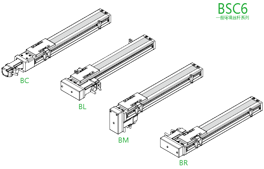 bsc6